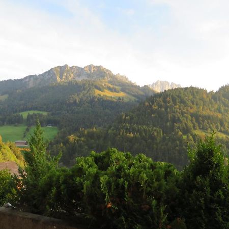 Chalet Erica Διαμέρισμα Jaun Εξωτερικό φωτογραφία
