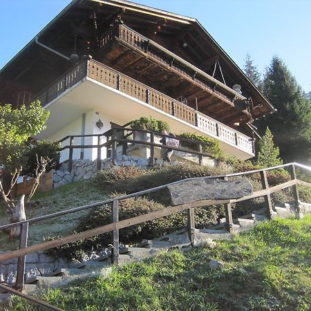 Chalet Erica Διαμέρισμα Jaun Εξωτερικό φωτογραφία
