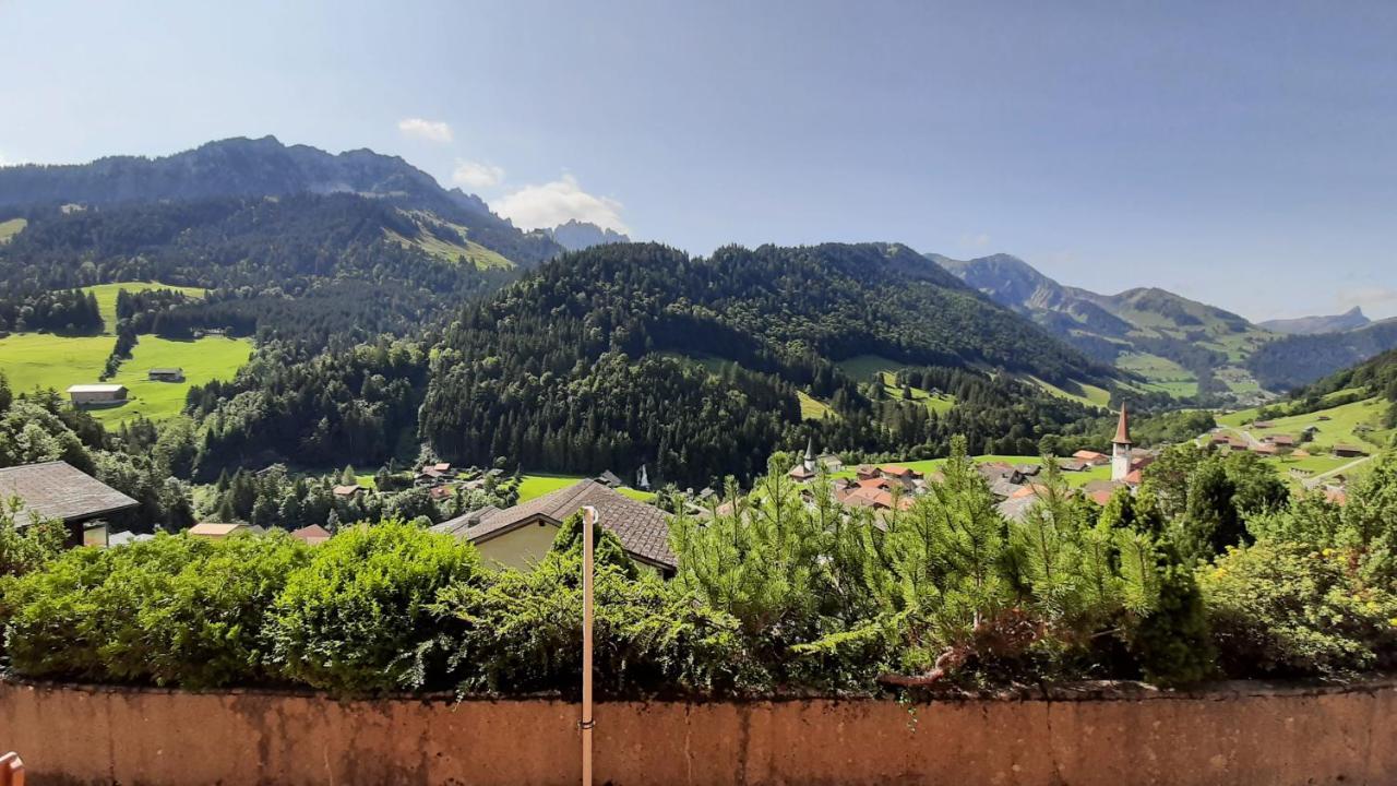Chalet Erica Διαμέρισμα Jaun Εξωτερικό φωτογραφία
