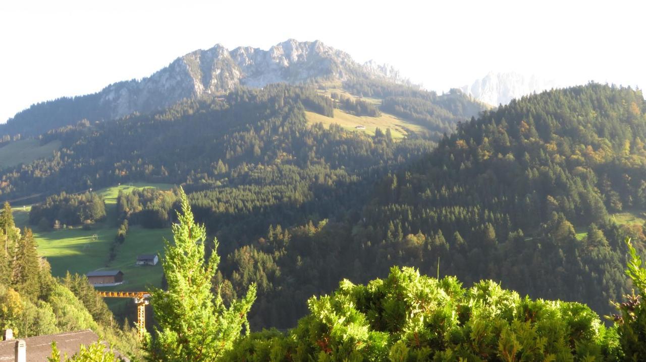 Chalet Erica Διαμέρισμα Jaun Εξωτερικό φωτογραφία