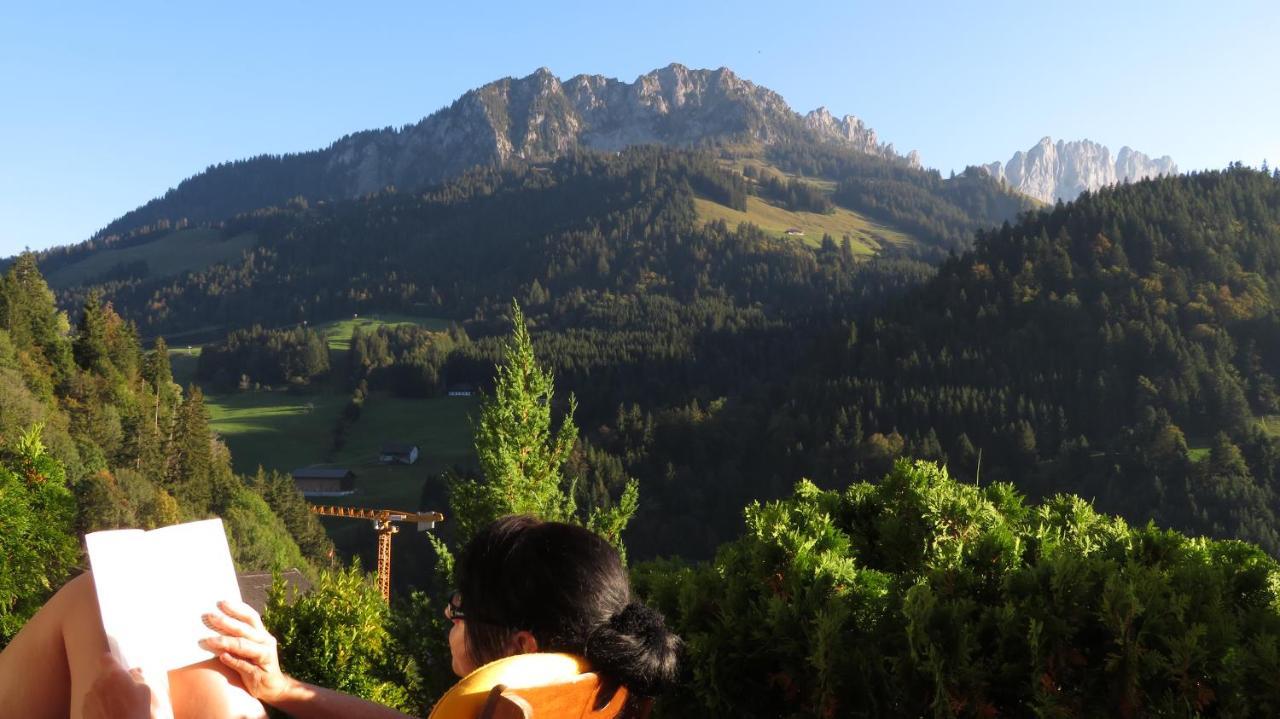 Chalet Erica Διαμέρισμα Jaun Εξωτερικό φωτογραφία