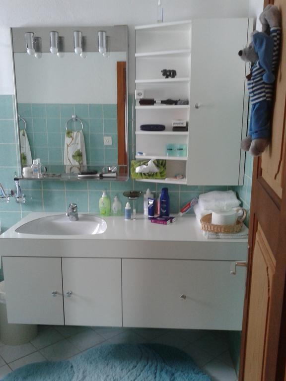 Chalet Erica Διαμέρισμα Jaun Εξωτερικό φωτογραφία