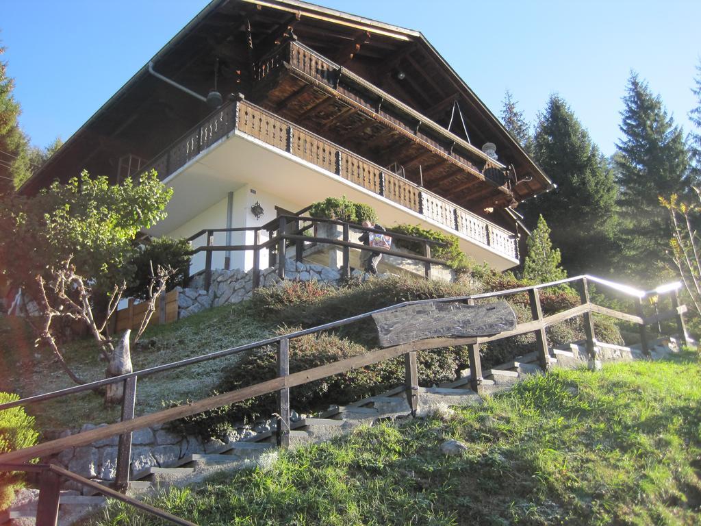 Chalet Erica Διαμέρισμα Jaun Εξωτερικό φωτογραφία