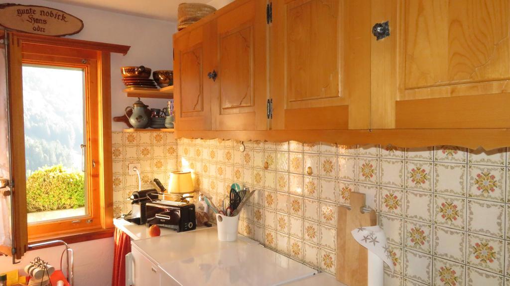 Chalet Erica Διαμέρισμα Jaun Εξωτερικό φωτογραφία