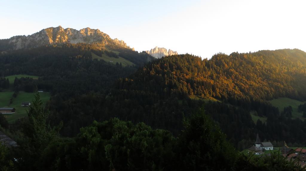 Chalet Erica Διαμέρισμα Jaun Εξωτερικό φωτογραφία