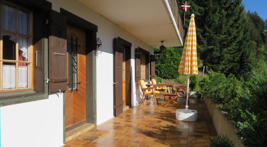Chalet Erica Διαμέρισμα Jaun Εξωτερικό φωτογραφία