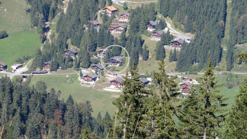 Chalet Erica Διαμέρισμα Jaun Εξωτερικό φωτογραφία