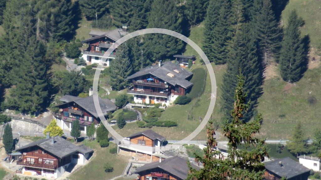 Chalet Erica Διαμέρισμα Jaun Εξωτερικό φωτογραφία