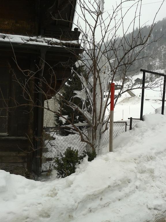 Chalet Erica Διαμέρισμα Jaun Εξωτερικό φωτογραφία