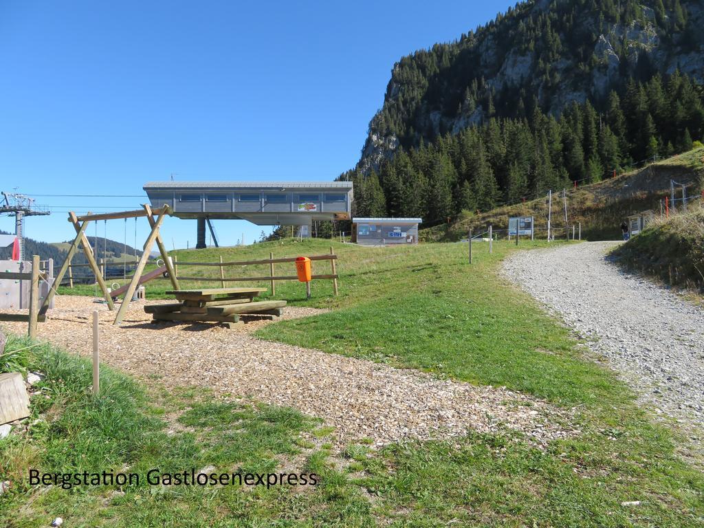 Chalet Erica Διαμέρισμα Jaun Εξωτερικό φωτογραφία