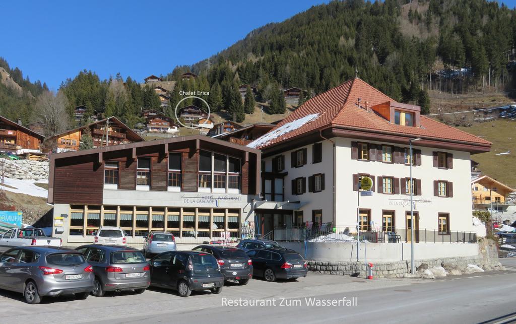Chalet Erica Διαμέρισμα Jaun Εξωτερικό φωτογραφία