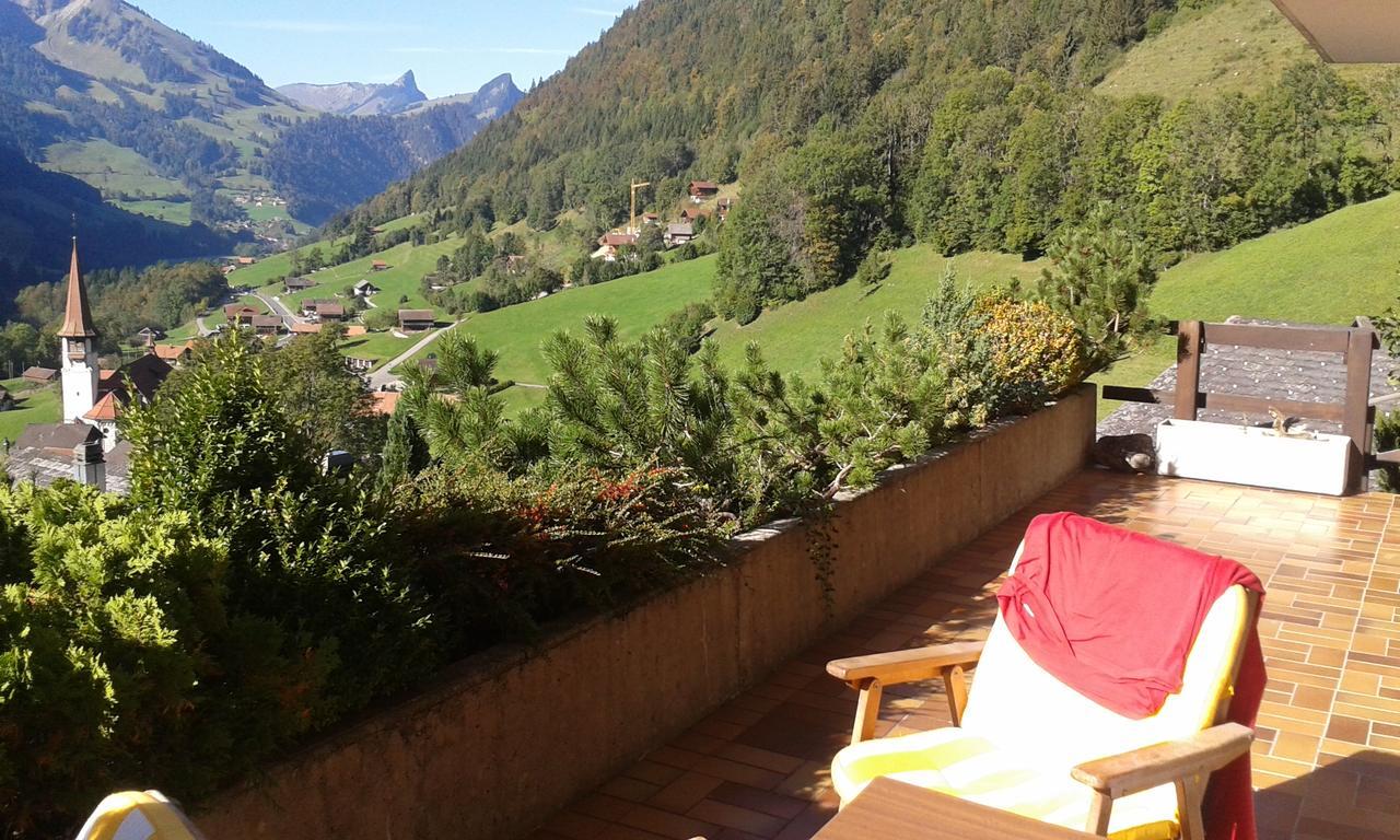 Chalet Erica Διαμέρισμα Jaun Εξωτερικό φωτογραφία