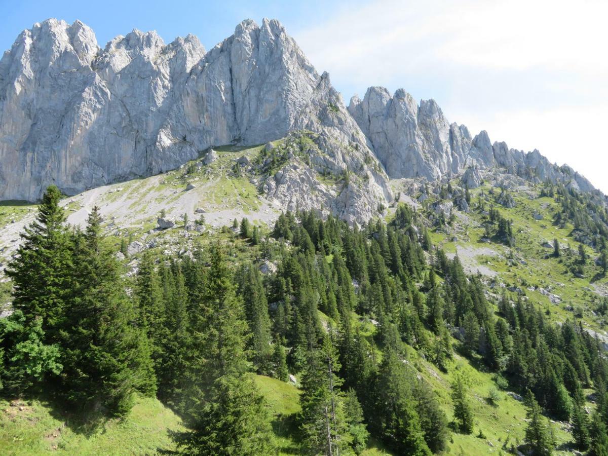 Chalet Erica Διαμέρισμα Jaun Εξωτερικό φωτογραφία