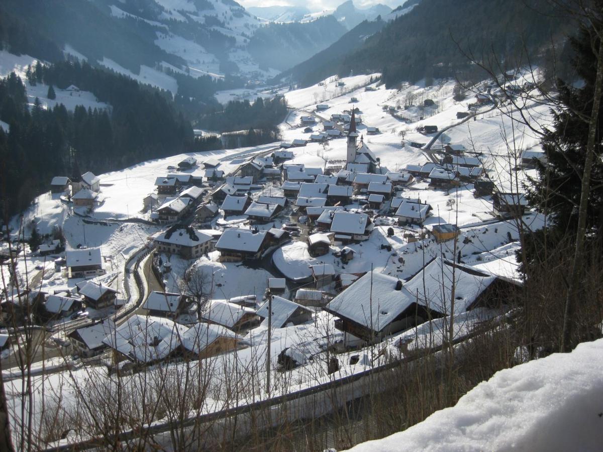 Chalet Erica Διαμέρισμα Jaun Εξωτερικό φωτογραφία