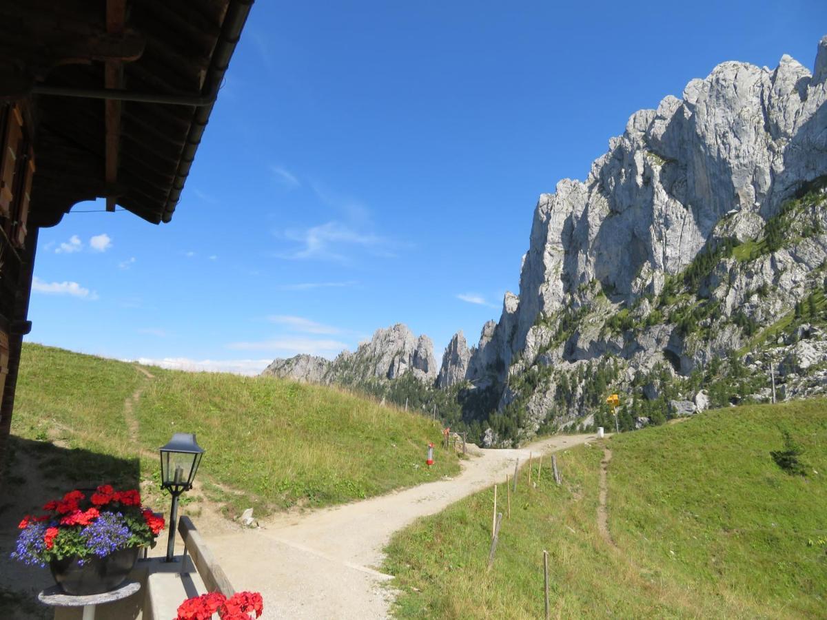 Chalet Erica Διαμέρισμα Jaun Εξωτερικό φωτογραφία